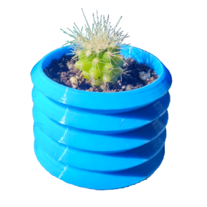 Mini cactus Echinocactus grusonii con macetero decorativo