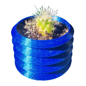 Mini cactus Echinocactus grusonii con macetero decorativo
