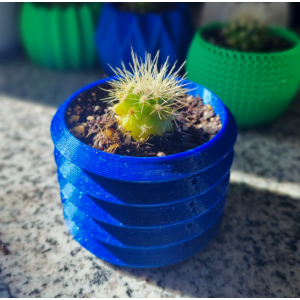 Mini cactus Echinocactus grusonii con macetero decorativo