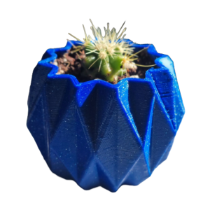 Mini cactus Echinocactus grusonii con macetero decorativo