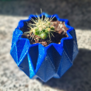 Mini cactus Echinocactus grusonii con macetero decorativo