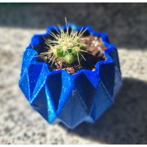 Mini cactus Echinocactus grusonii con macetero decorativo
