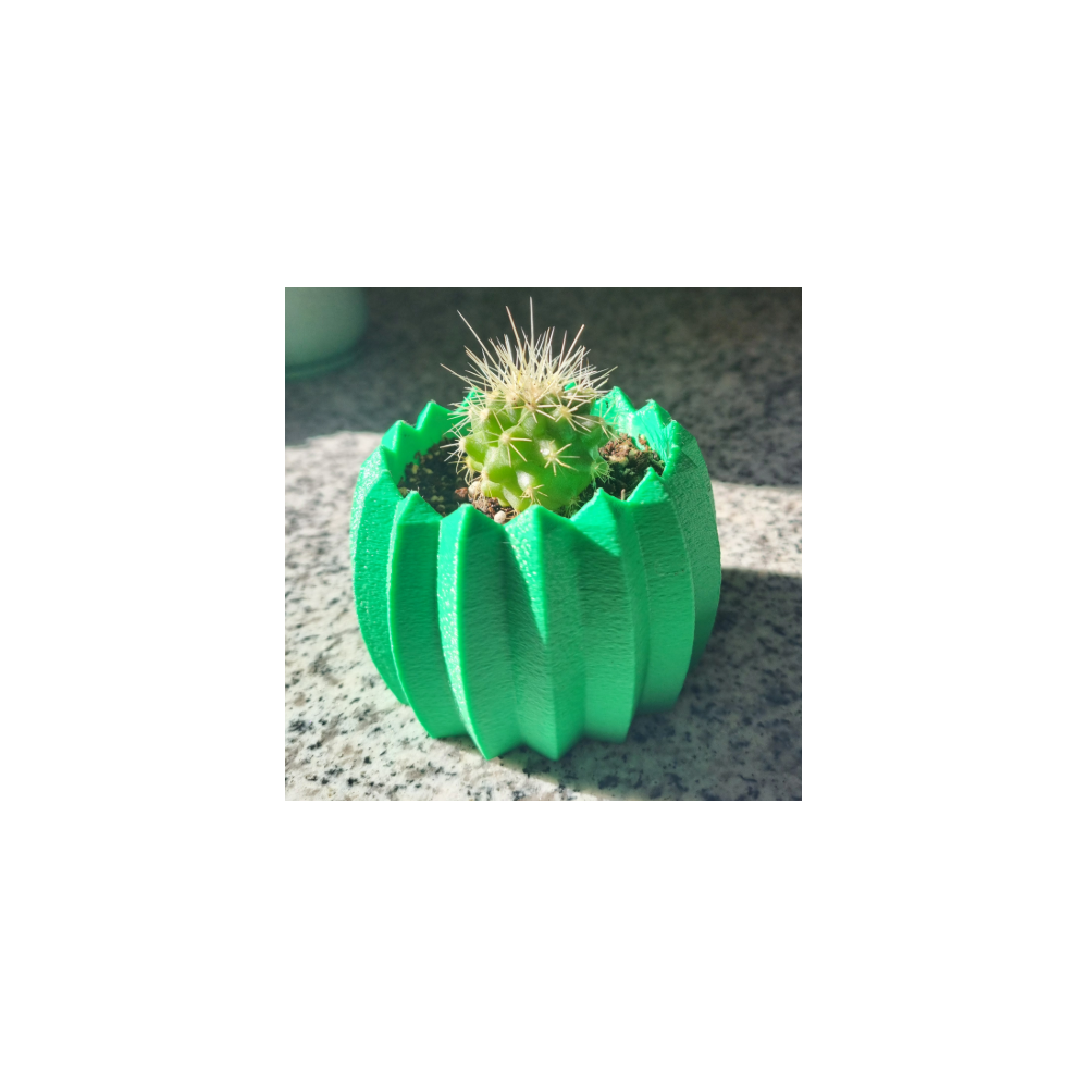 Mini cactus Echinocactus grusonii con macetero decorativo